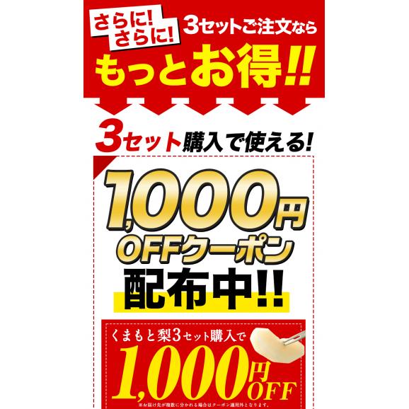 くまもと 梨 なし 1.5kg 前後 (約2～5玉) 送料無料  幸水 凛夏 豊水 あきづき 新高 新興 甘太 秋麗 愛宕 旬 の 味覚 フルーツ 果物 熊本 《9月上旬-9月中旬頃より配送予定》03