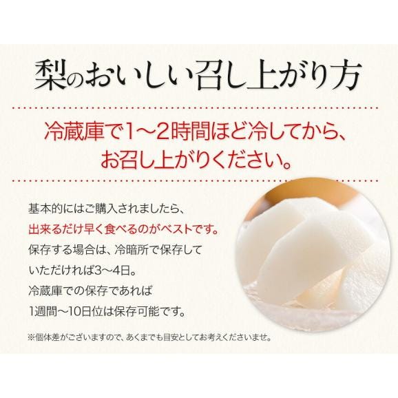 くまもと 梨 なし 1.5kg 前後 (約2～5玉) 送料無料  幸水 凛夏 豊水 あきづき 新高 新興 甘太 秋麗 愛宕 旬 の 味覚 フルーツ 果物 熊本 《9月上旬-9月中旬頃より配送予定》05