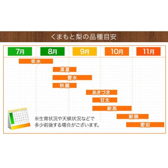 くまもと 梨 なし 1.5kg 前後 (約2～5玉) 送料無料  幸水 凛夏 豊水 あきづき 新高 新興 甘太 秋麗 愛宕 旬 の 味覚 フルーツ 果物 熊本 《9月上旬-9月中旬頃より配送予定》06