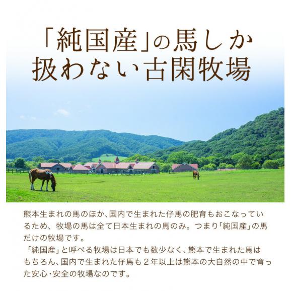 ★古閑牧場の純国産馬油★送料無料★《7-10営業日以内に出荷(土日祝除く)》03