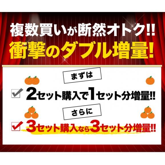 【★販売解禁★】 訳あり 清見 1.5kg 柑橘 みかん約6～約20玉前後入 送料無料 熊本産 《1-5営業日以内に発送予定》 デコポン(不知火) はるみ せとか の生みの親03