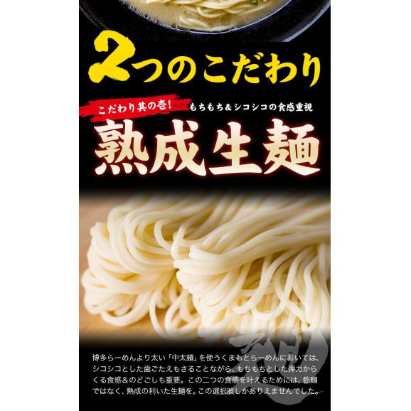 ラーメン 6人前 送料無料 くまもと らーめん 6食セット 送料無料 生麺 ニンニク とんこつ 豚骨ラーメン らーめん 買い回り 拉麺 ポイント消化 熊本ラーメン 《3-7営業日以内に出荷予定(土日祝05