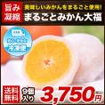 まるごと みかん 大福 9個 送料無料 熊本県産 小玉 みかん使用 スイーツ お菓子 和菓子 白あん 冷凍 贈答 お取り寄せ《7-14営業日以内に出荷予定(土日祝日除く)》