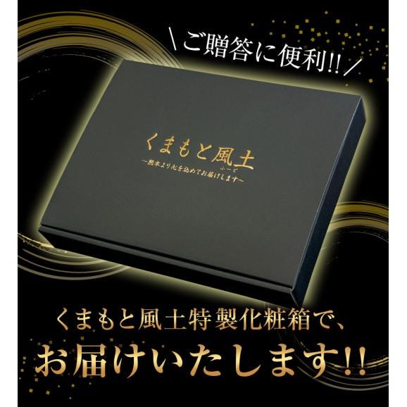 熊本 馬刺し ５種盛り220g ギフト 贈り物 国産 馬肉 送料無料 純国産 熊本肥育 大トロ 中トロ 赤身 コーネ フタエゴ 《7-14営業日以内に出荷(土日祝日除く)》　　　　04