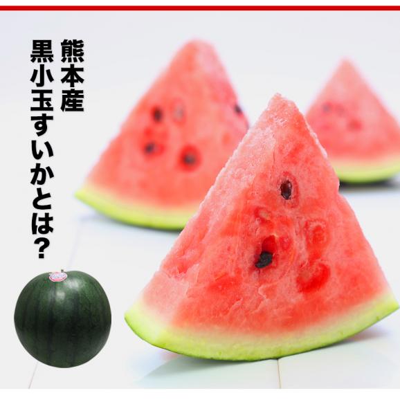小玉 スイカ 訳あり 黒小玉 熊本県産 すいか 【1玉/1.5kg以上】送料無料 すいかの本場 生産量 日本一 名産地 熊本 家庭用 自家用 ジュース お取り寄せ お取り寄せグルメ03