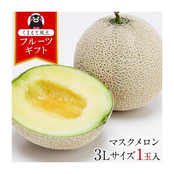 マスクメロン 熊本産 1玉 秀品：3Lサイズ1玉約1.5kg以上