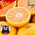 【最大3kgオマケ!?】 小玉 みかん 訳あり 送料無料 1.5kg 小粒 ミカン 蜜柑 柑橘 熊本 極早生 3s-sサイズ 家庭用《1月中旬-2月上旬頃出荷予定》