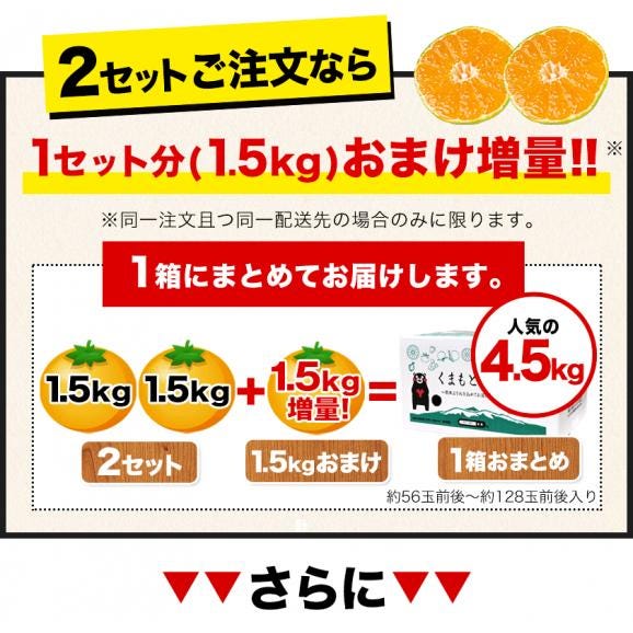 【最大3kgオマケ!?】 小玉 みかん 訳あり 送料無料 1.5kg 小粒 ミカン 蜜柑 柑橘 熊本 極早生 3s-sサイズ 家庭用《1月中旬-2月上旬頃出荷予定》02
