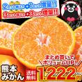 【送料無料】 みかん 訳あり 送料無料  熊本ミカン 規格外 果物 柑橘 九州 訳アリ 蜜柑 箱 1.5kg みかん箱 《1-5営業日以内に発送予定》