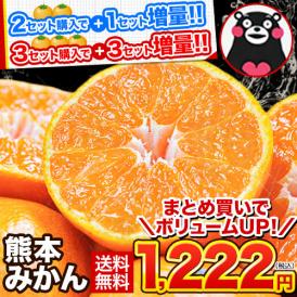 柑橘と言えばみかん！熊本の訳ありみかん！