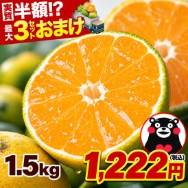 【おまけ増量中！】 熊本 みかん 1.5kg 訳あり 送料無料 ミカン 大玉 小玉 不選別 規格外 果物 柑橘 九州 蜜柑 みかん箱 まとめ買い 《10月中旬-11月中旬に出荷予定（土日祝除）》|熊本