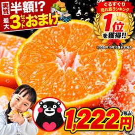 柑橘と言えばみかん！熊本の訳ありみかん！