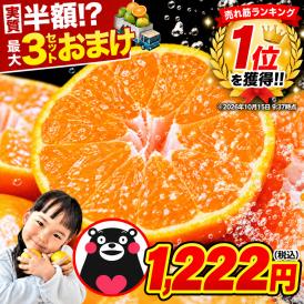 柑橘と言えばみかん！熊本の訳ありみかん！