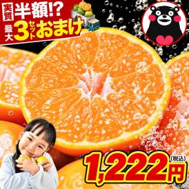 柑橘と言えばみかん！熊本の訳ありみかん！