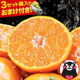 みかん 訳あり 送料無料 熊本 ミカン 大玉 小玉 不選別 規格外  果物 柑橘  九州 蜜柑 箱 1.5kg 3kg 5.5kg 10kg 以下 《3-7営業日以内に出荷予定（土日祝日除く）》