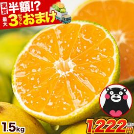 【送料無料】 みかん 訳あり 送料無料  熊本ミカン 規格外 果物 柑橘 九州 訳アリ 蜜柑 箱 1.5kg みかん箱 《10月中旬-11月上旬頃より発送予定》