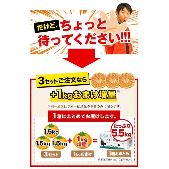みかん 訳あり 送料無料 熊本 ミカン 大玉 小玉 不選別 規格外  果物 柑橘  九州 蜜柑 箱 1.5kg 3kg 5.5kg 10kg 以下 《3-7営業日以内に出荷予定（土日祝日除く）》02
