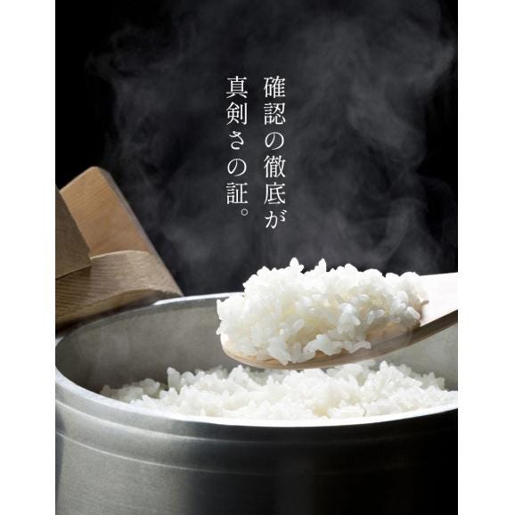 ふるさと無洗米 国産米 精米済み 10㎏ （5kg&times;2袋） コメ こめ kome 米 非常食・保存食にも◎ 備蓄米 ではありません 生活応援 《1-3営業日以内に配送予定(土日祝除く05