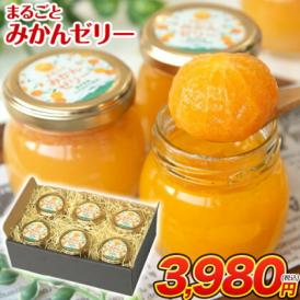 まるまる1玉使用！ まるごと みかんゼリー フルーツギフト 熊本 小玉みかん みかん 送料無料 ギフト みかん ゼリー スイーツ 果物 セット 子ども に人気 《3-7営業以内発送予定(土日祝除く)》