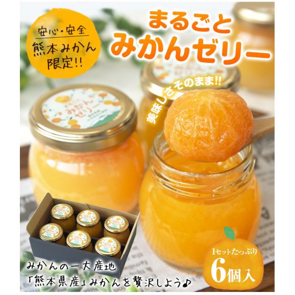 驚きの価格が実現！ みかんの缶詰様、専用のpost （THE （115）みかんの MAKING バッグ