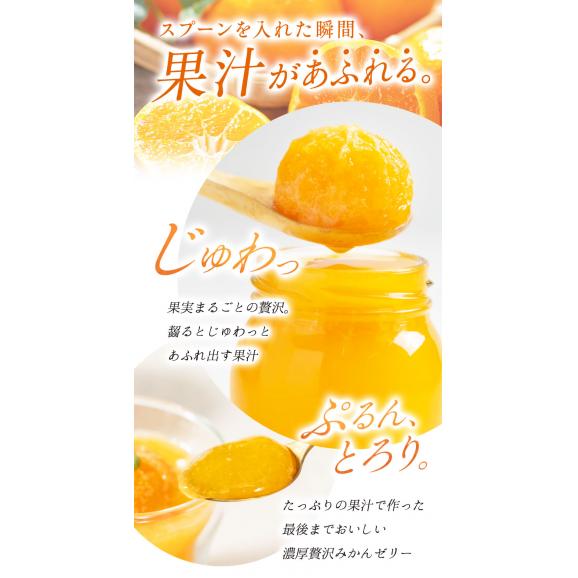 まるまる1玉使用！ まるごと みかんゼリー フルーツギフト 熊本 小玉みかん みかん 送料無料 ギフト みかん ゼリー スイーツ 果物 セット 子ども に人気 《3-7営業以内発送予定(土日祝除く)》03