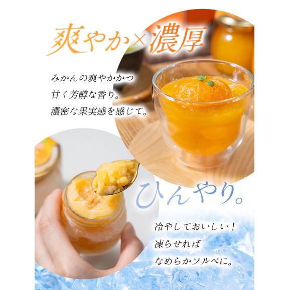まるまる1玉使用！ まるごと みかんゼリー フルーツギフト 熊本 小玉みかん みかん 送料無料 ギフト みかん ゼリー スイーツ 果物 セット 子ども に人気 《3-7営業以内発送予定(土日祝除く)》04