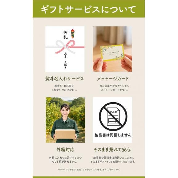 まるまる1玉使用！ まるごと みかんゼリー フルーツギフト 熊本 小玉みかん みかん 送料無料 ギフト みかん ゼリー スイーツ 果物 セット 子ども に人気 《3-7営業以内発送予定(土日祝除く)》05
