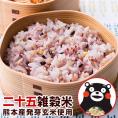 雑穀米 450g 国産 送料無料 雑穀 くまモン袋 話題の もち麦 熊本県産 発芽玄米《7月中旬-7月下旬に出荷予定)》