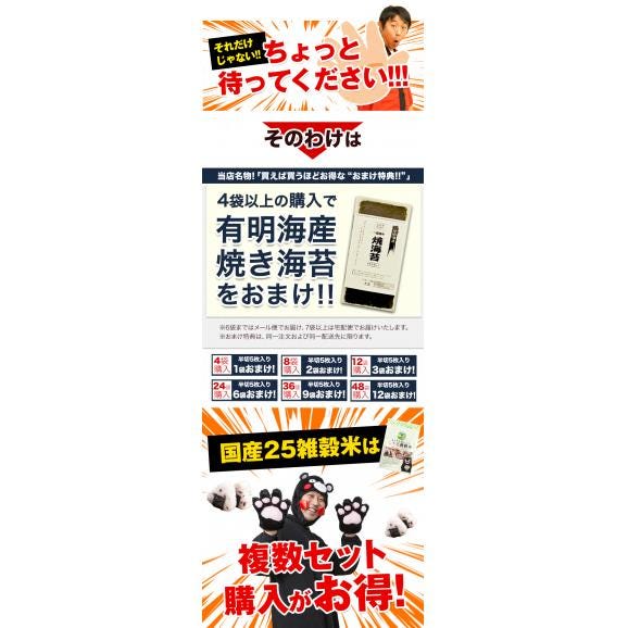 雑穀米 混ぜるだけ 送料無料 くまモン 25雑穀米 国産二十五雑穀米 無添加 熊本県産 もち麦 玄米 発芽玄米《7-14営業日以内出荷(土日祝除)》02