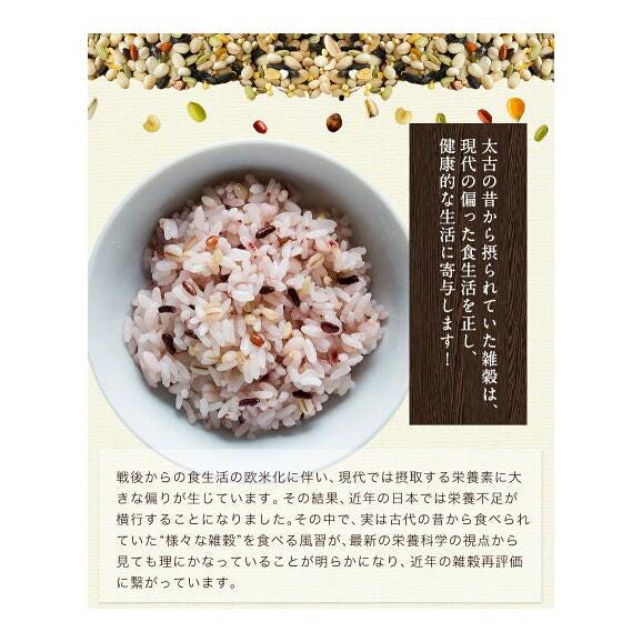 雑穀米 混ぜるだけ 送料無料 くまモン 25雑穀米 国産二十五雑穀米 無添加 熊本県産 もち麦 玄米 発芽玄米《7-14営業日以内出荷(土日祝除)》04