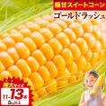 とうもろこし 北海道産 スイートコーン ゴールドラッシュ 北海道名寄産 トウモロコシ 5kg 11～13本入り (L～2Lサイズ) 産地直送 送料無料 《8月中旬～8月末頃より発送予定》