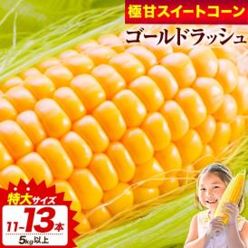 とうもろこし 北海道産 スイートコーン ゴールドラッシュ 北海道名寄産 トウモロコシ 5kg 11～13本入り (L～2Lサイズ) 産地直送 送料無料 《8月中旬～8月末頃より発送予定》