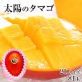 本場宮崎県産マンゴー 秀品 太陽のタマゴ  送料無料 ギフト フルーツ 2Lサイズ 1玉約350g〜約499g  【6月下旬-7月上旬頃より発送予定】