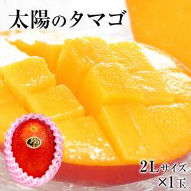 本場宮崎県産マンゴー 秀品 太陽のタマゴ  送料無料 ギフト フルーツ 2Lサイズ 1玉約350g〜約499g  【6月下旬-7月上旬頃より発送予定】