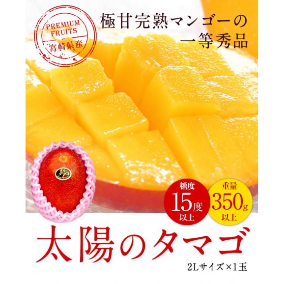 本場宮崎県産マンゴー 秀品 太陽のタマゴ  送料無料 ギフト フルーツ 2Lサイズ 1玉約350g〜約499g  【6月下旬-7月上旬頃より発送予定】02