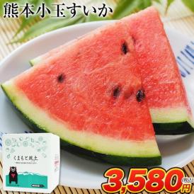 スイカ 熊本 父の日 贈り物 ギフト 送料無料 小玉スイカ 熊本県産 1玉 2Lサイズ 1.4kg以上 果物 フルーツ 旬 食品 すいか 生産量 日本一 《3-7営業日以内発送予定（土日祝除く）》
