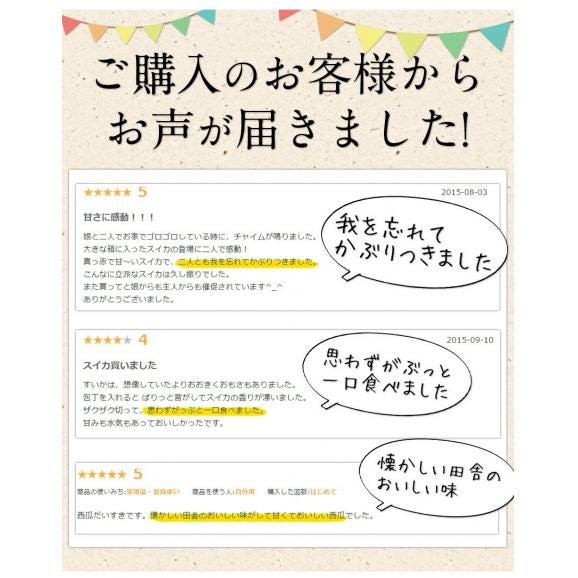 スイカ 熊本 贈り物 ギフト 送料無料 小玉スイカ 熊本県産 1玉 2Lサイズ 1.4kg以上 果物 フルーツ 旬 食品 すいか 生産量 日本一 《3-7営業日以内発送予定（土日祝除く）》04