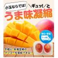 宮崎県産 秀品 小玉マンゴー 2玉パック 1玉約240g〜約309g Mサイズ クール便 送料無料 極甘 完熟《6月下旬～7月上旬出荷予定》