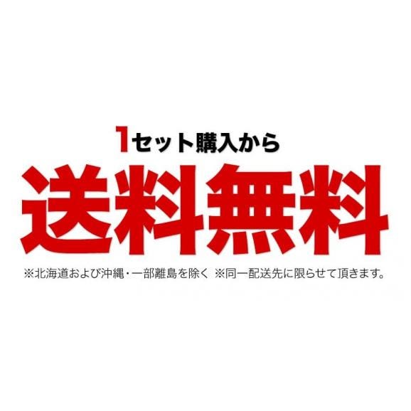 宮崎県産 秀品 小玉マンゴー 2玉パック 1玉約240g〜約309g Mサイズ クール便 送料無料 極甘 完熟《7月上旬～7月下旬出荷予定》03