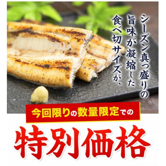 【今なら最大2,000円OFF】九州産 うなぎ 白焼 1セット1尾 140g以上 国産 送料無料 有頭  1-5営業日以内に順次出荷(土日祝日除く)04