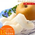 【毎年即完売！！】 ちょっと 訳あり 梨 なし 福岡農園 秋月 あきづき 吉野梨 ナシ 1.5kg前後 (3〜5玉) 送料無料 熊本県産 お取り寄せ 《9月上旬～9月下旬頃配送予定》