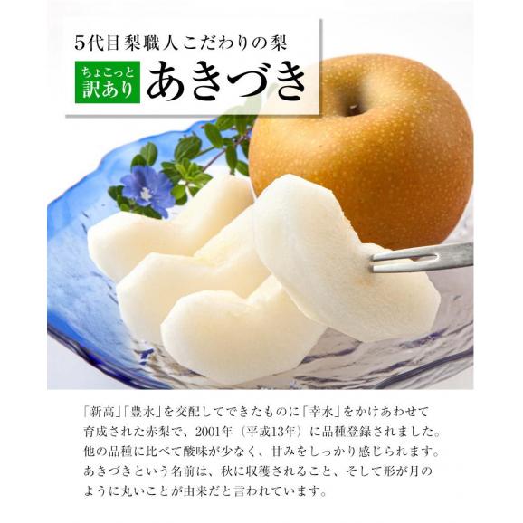 【毎年即完売！！】 ちょっと 訳あり 梨 なし 福岡農園 秋月 あきづき 吉野梨 ナシ 1.5kg前後 (3〜5玉) 送料無料 熊本県産 お取り寄せ 《9月上旬～9月下旬頃配送予定》03