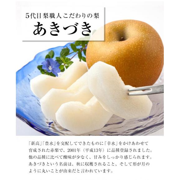 【クーポンで最大1500円OFF】 贈答用 福岡農園 梨 なし 秋月 あきづき ギフト 3.5kg前後 6〜10玉 送料無料 熊本県産 熊本 果物 フルーツ 化粧箱 敬老の日 お取り寄せ 熨斗 のし03