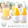 ウトブランド 丸しぼりネクター 720ml×2本 熊本県 宇土産 デコポン 不知火 ネーブル 送料無料 プレゼント ドリンク ギフト お取り寄せ おグルメ 7-14営業日以内に出荷(土日祝日)