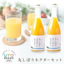 ウトブランド 丸しぼりネクター 720ml×2本 熊本県 宇土産 デコポン 不知火 ネーブル 送料無料 プレゼント ドリンク ギフト お取り寄せ おグルメ 7-14営業日以内に出荷(土日祝日)