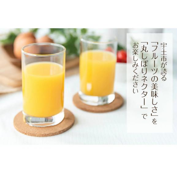 ウトブランド 丸しぼりネクター 720ml×2本 熊本県 宇土産 デコポン 不知火 ネーブル 送料無料 プレゼント ドリンク ギフト お取り寄せ おグルメ 7-14営業日以内に出荷(土日祝日)04