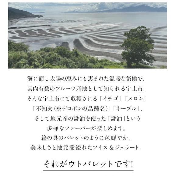 ウトブランド ウトパレット アイス ジェラート 1セット6個入 1個120ml 不知火/いちご/メロン/ネーブル/醤油 送料無料 グルメ 7-14営業日以内に出荷(土日祝日除く)03