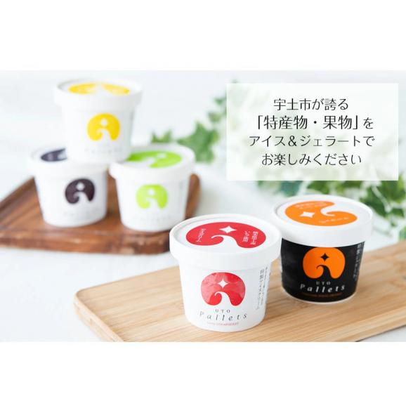 ウトブランド ウトパレット アイス ジェラート 1セット6個入 1個120ml 不知火/いちご/メロン/ネーブル/醤油 送料無料 グルメ 7-14営業日以内に出荷(土日祝日除く)04