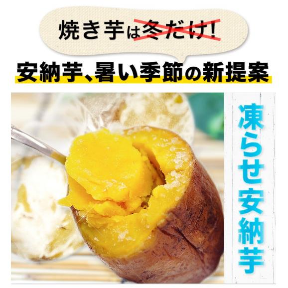 さつまいも 種子島産 訳あり 安納芋 焼き芋 1.5kg 送料無料 さつま芋 スイーツ サツマイモ 《1-5営業日以内に出荷予定（土日祝日除く）》03