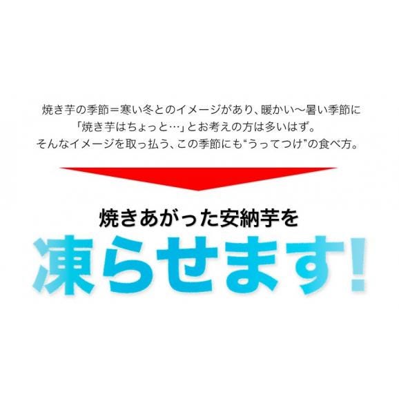 さつまいも 種子島産 訳あり 安納芋 焼き芋 1.5kg 送料無料 さつま芋 スイーツ サツマイモ 《1-5営業日以内に出荷予定（土日祝日除く）》04